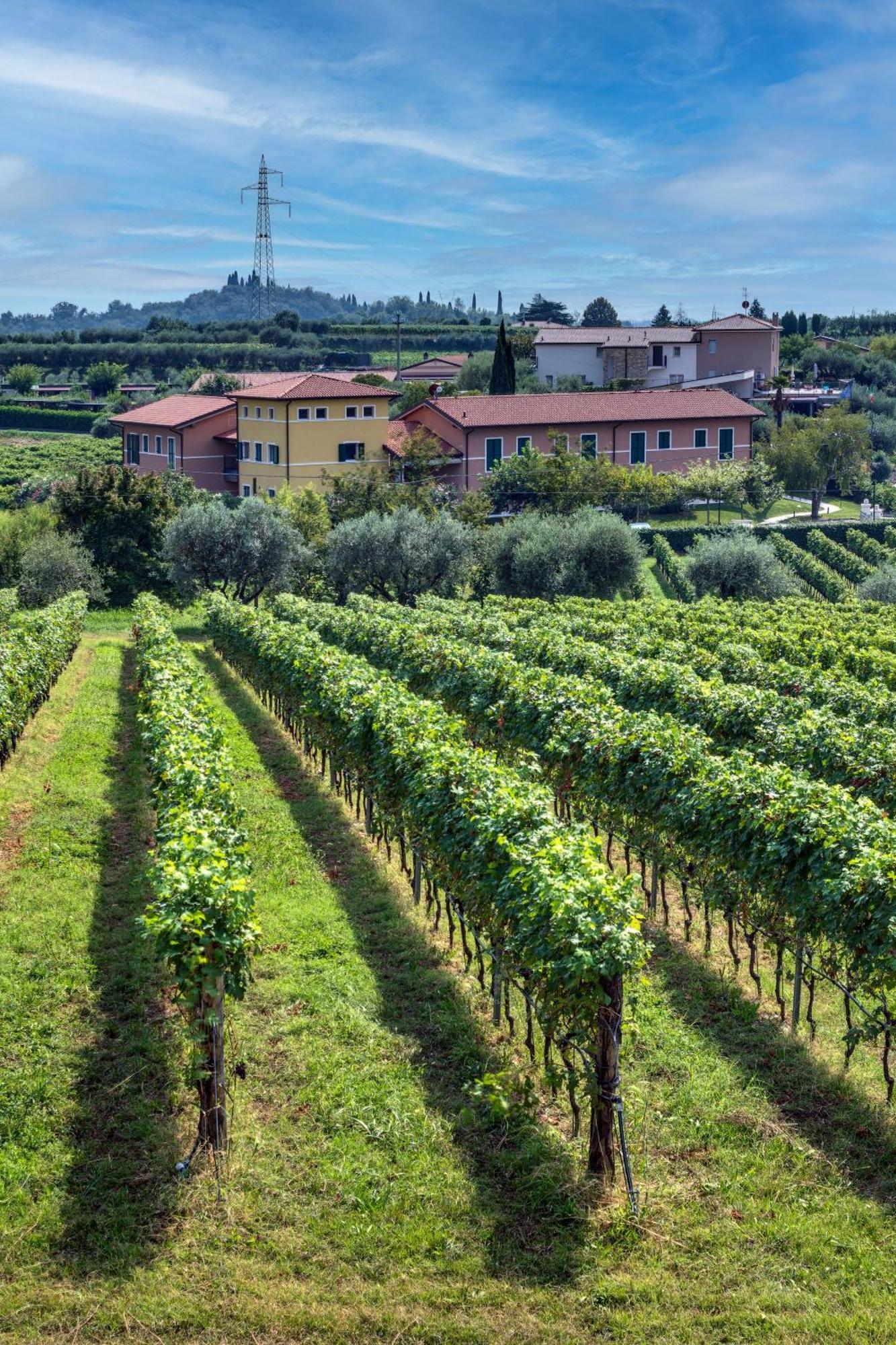 Tenuta Di Palu Bardolino Ngoại thất bức ảnh