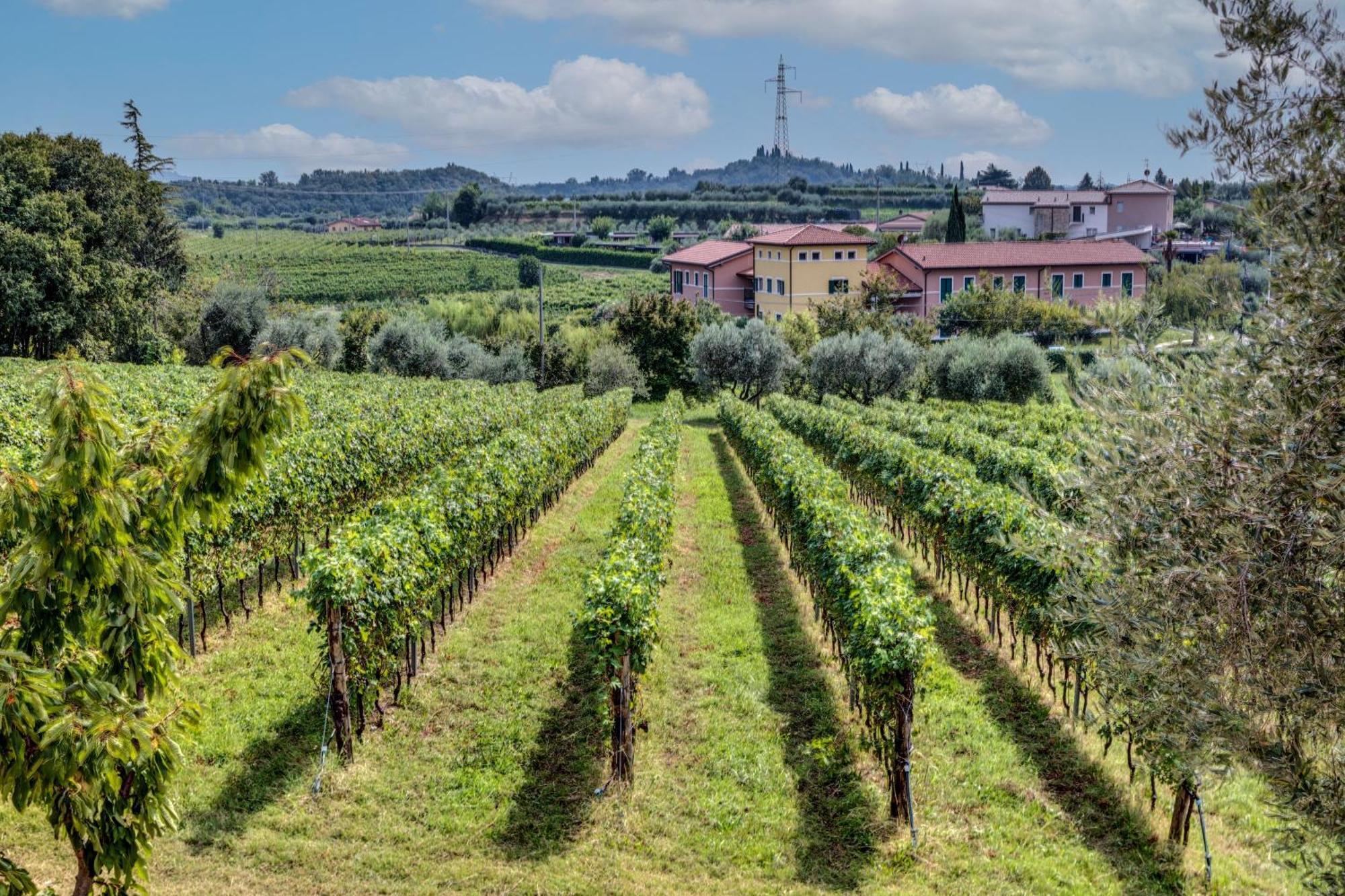 Tenuta Di Palu Bardolino Ngoại thất bức ảnh